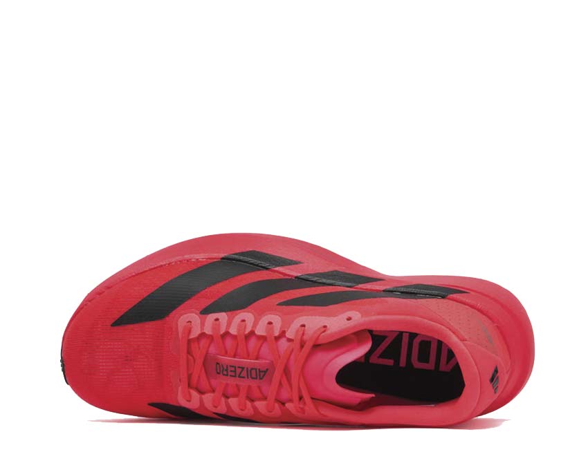 Adidas Adizero Evo SL Lucid Red — vue arrière talon dynamique