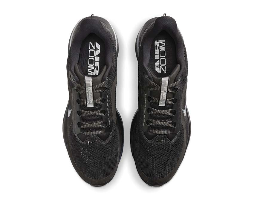 Nike Pegasus Premium Black / Black - Metallic Silver HQ2592-005