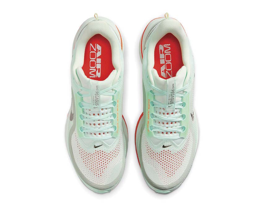 Nike Pegasus Premium HQ2592-301