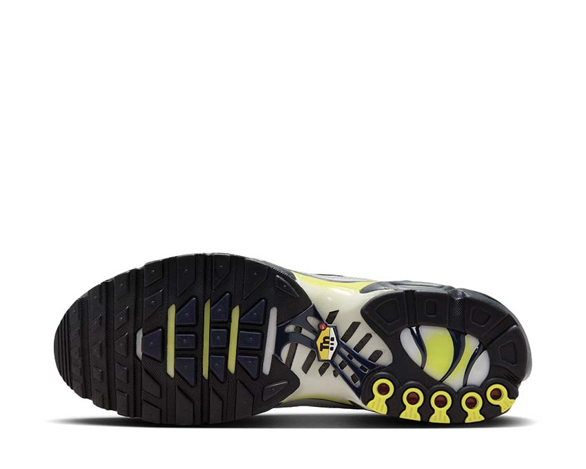Nike Air Max Plus Metallic Silver — back view heel
