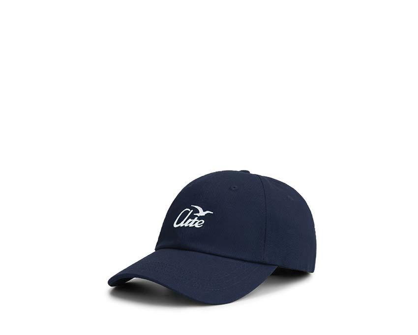 Arte Bird Logo Cap Navy — gorra unisex logo pájaro bordado streetwear