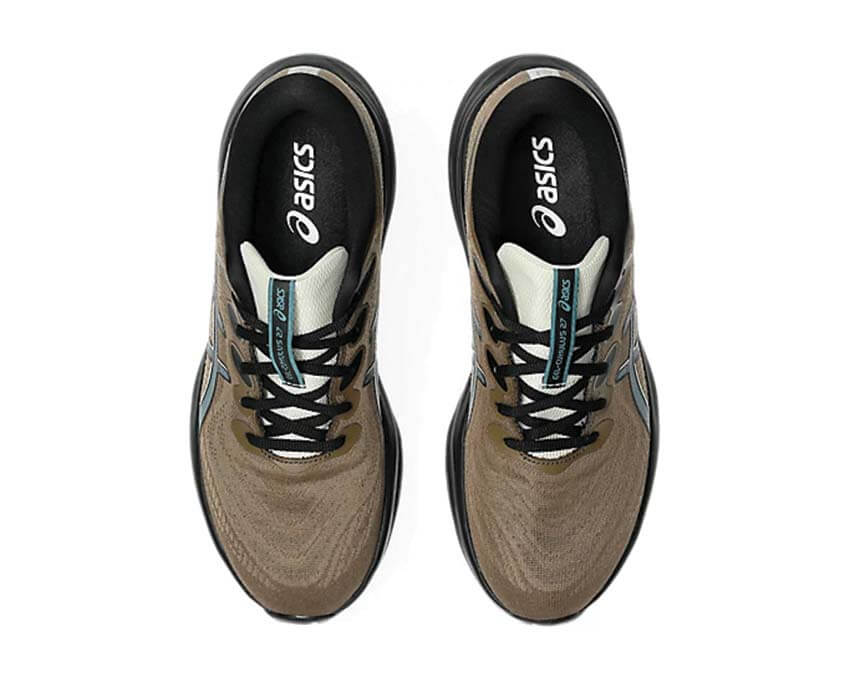 Asics Gel Cumulus 27 GTX Clay Canyon arrière — amorti GEL talon waterproof