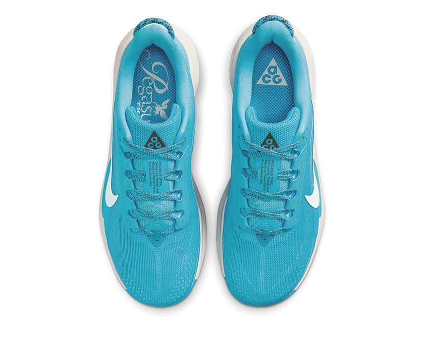 Nike ACG Pegasus Trail Baltic Blue — chaussure trail homme bleu