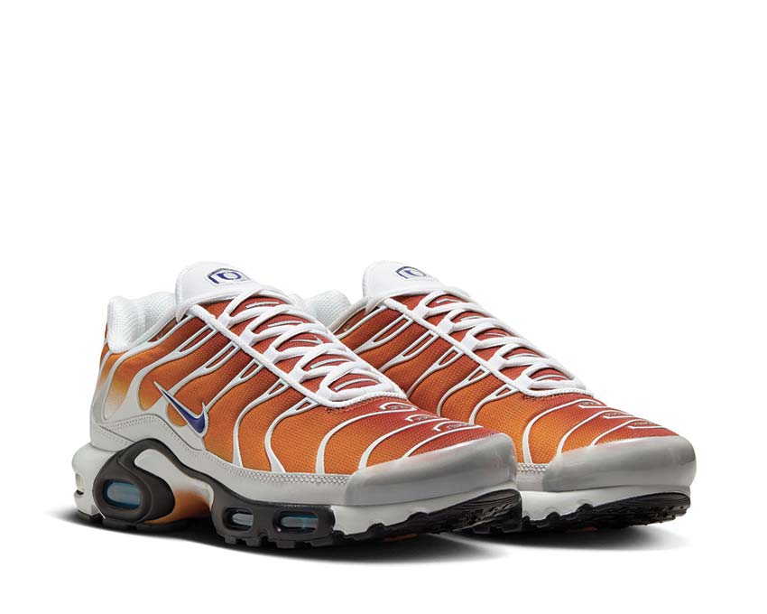 Nike Air Max Plus One Black Down "Reverse" Chutney / Regency Purple - Photon Dust FZ3308-700