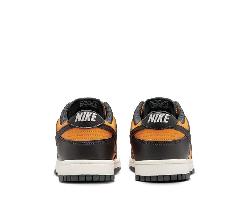  Nike Dunk Low Retro Sundial / Anthracite - Sail HF5441-700 