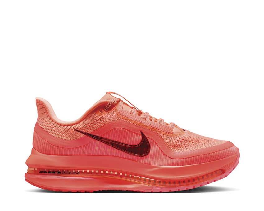 Nike Pegasus Premium W HQ2593-802