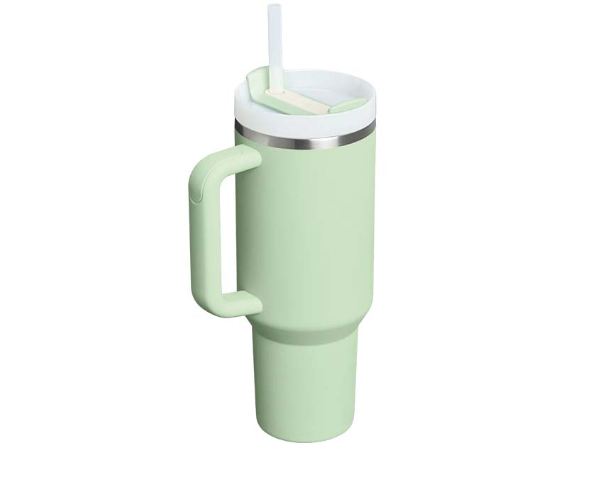 Stanley Quencher H2.O Pistachio 10-13230-063