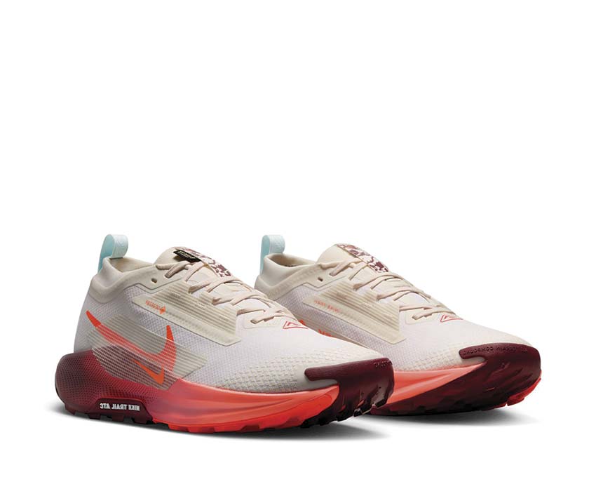 Nike Pegasus Trail 5 GTX "Silt Red"